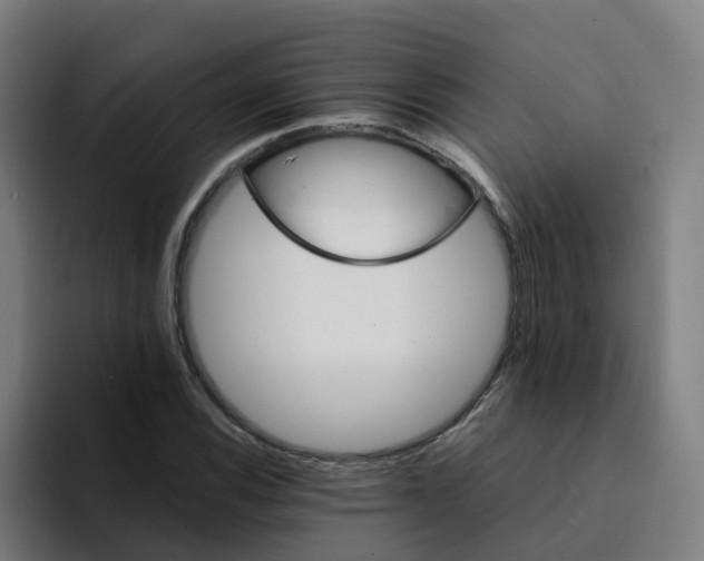 X0000094361116200711162045