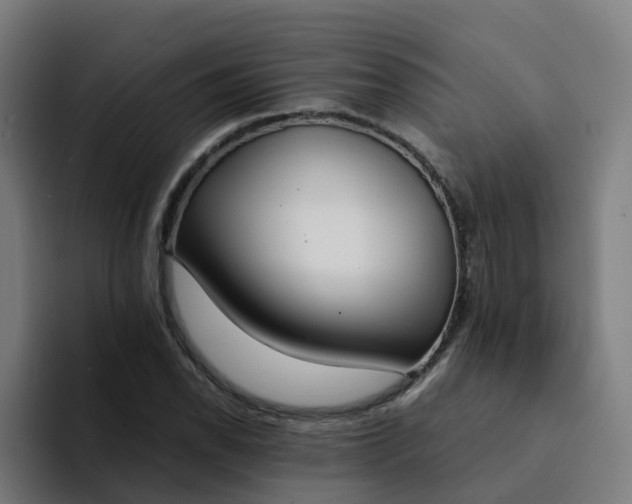 X0000094361118200711162045