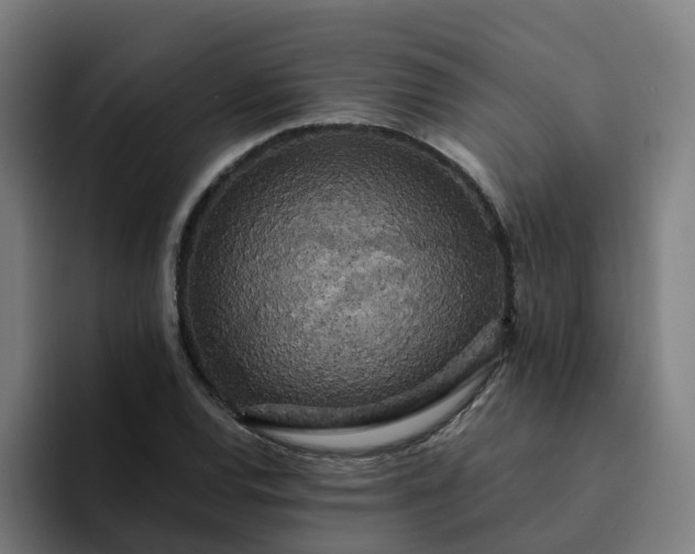 X0000094361120200711162045