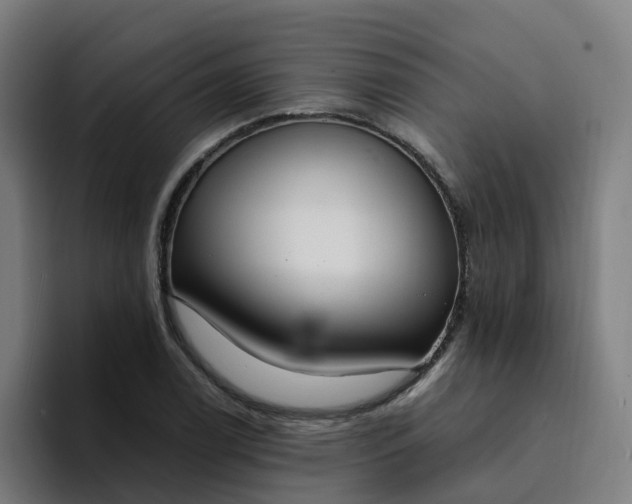 X0000094361122200711162045