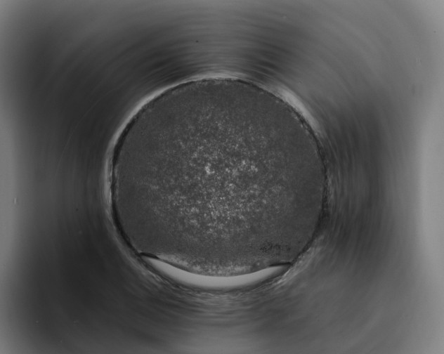 X0000094361124200711162045