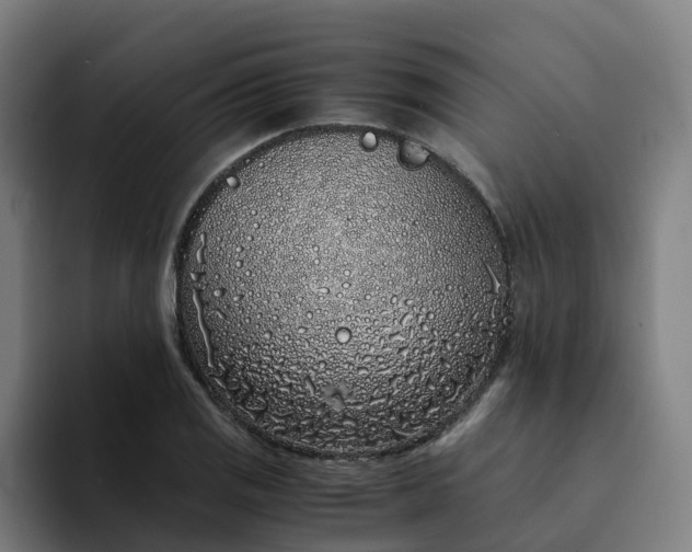 X0000094361125200711162045