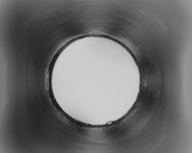 X0000094361126200711162045