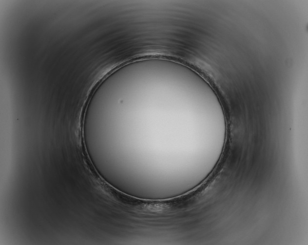 X0000094361129200711162045