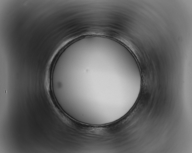 X0000094361131200711162045