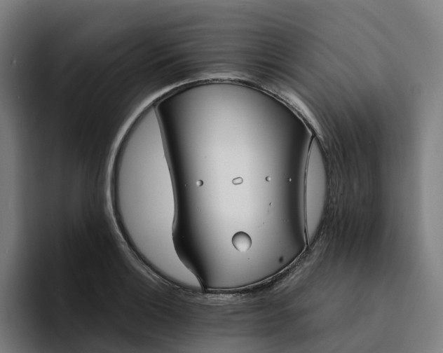 X0000094361132200711162045