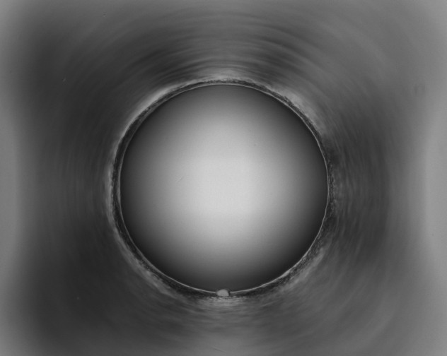 X0000094361134200711162045