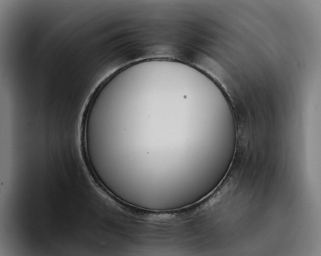 X0000094361135200711162045