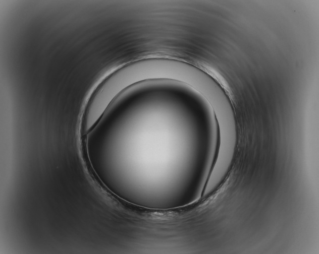 X0000094361138200711162045