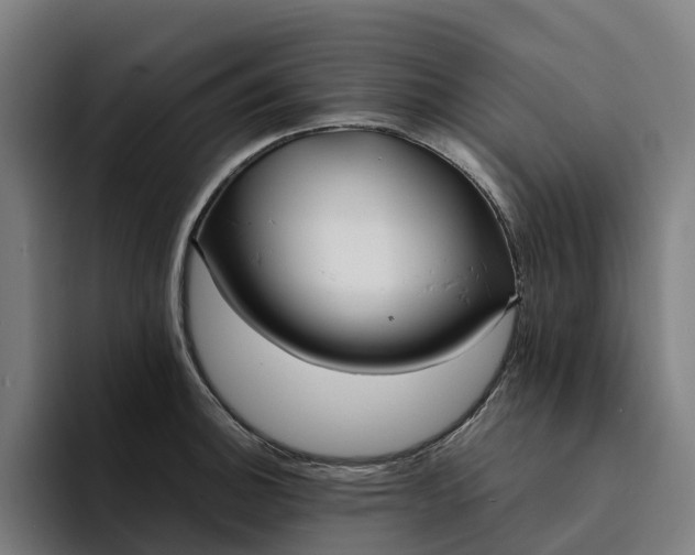 X0000094361140200711162045