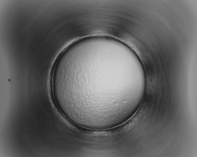 X0000094361142200711162045