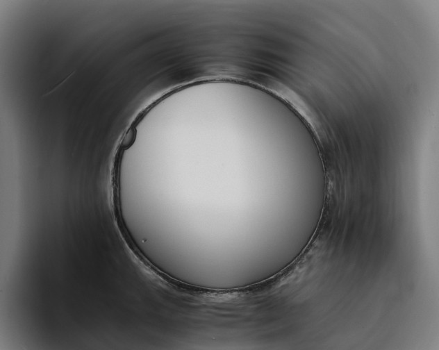 X0000094361143200711162045