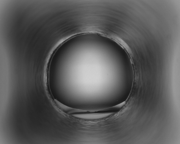 X0000094361144200711162045