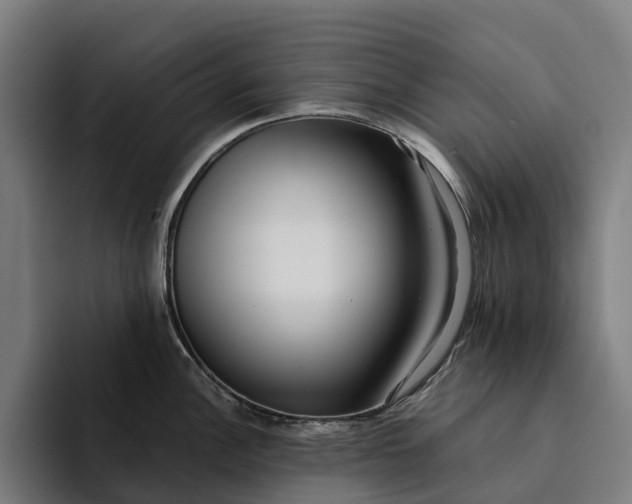 X0000094361148200711162045