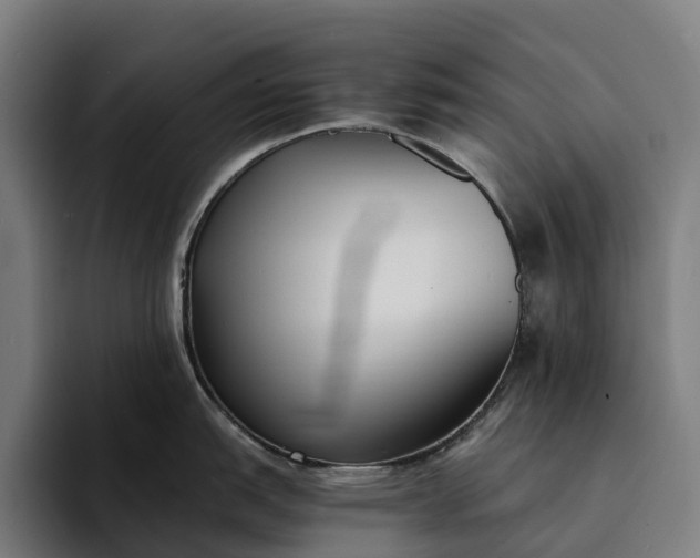 X0000094361151200711162045