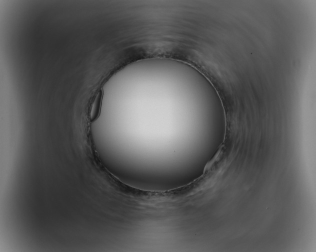 X0000094361153200711162045