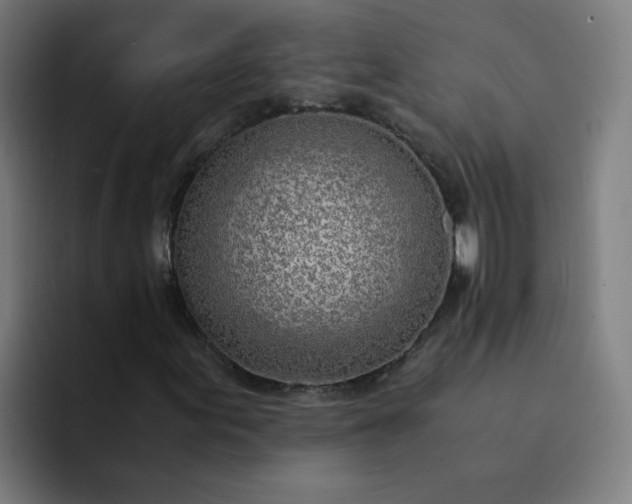 X0000094361155200711162044