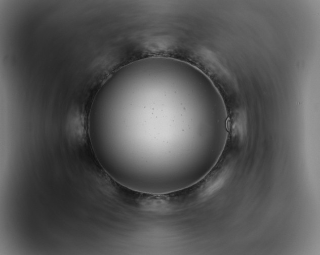 X0000094361156200711162044