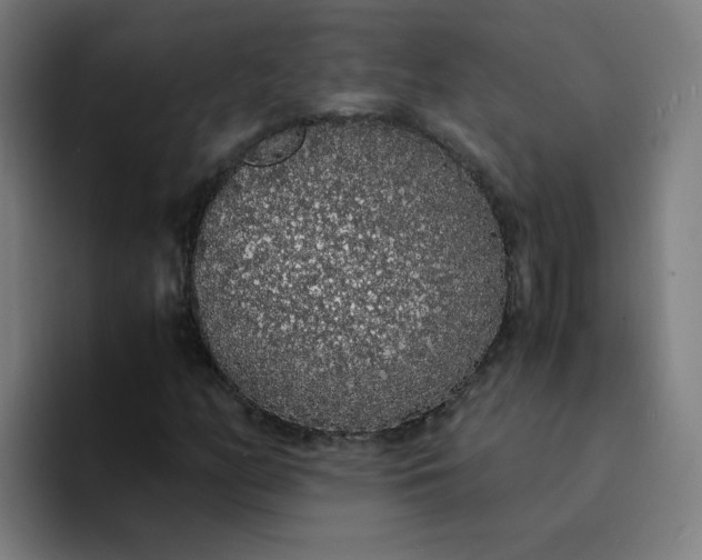 X0000094361158200711162044