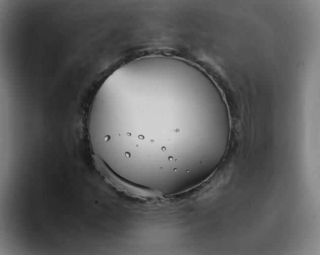 X0000094361159200711162044