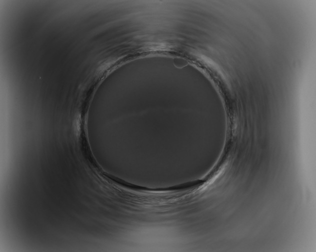 X0000094361161200711162044