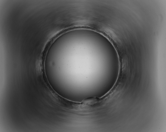 X0000094361164200711162044