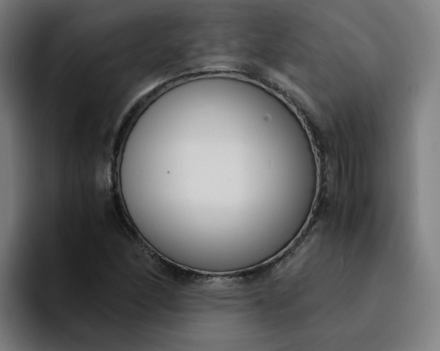 X0000094361166200711162044