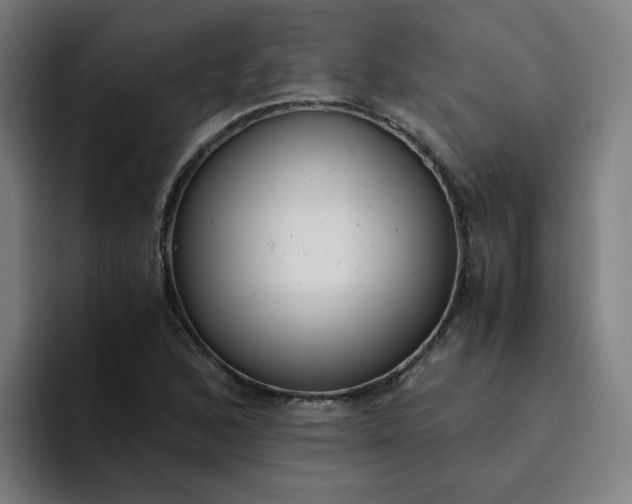 X0000094361168200711162044