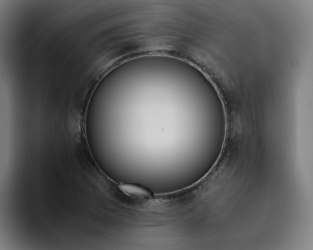 X0000094361169200711162044