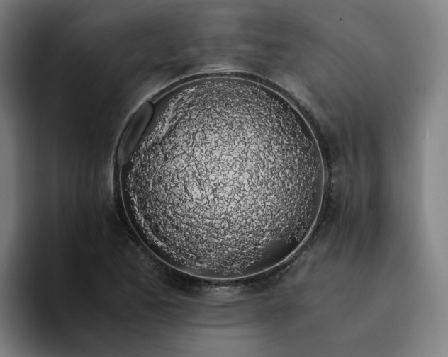 X0000094361173200711162044