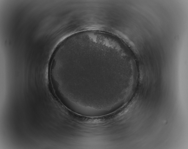 X0000094361174200711162044