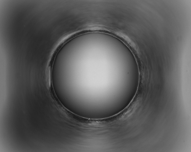 X0000094361175200711162044