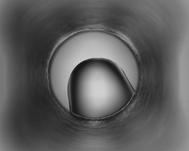 X0000094361176200711162044