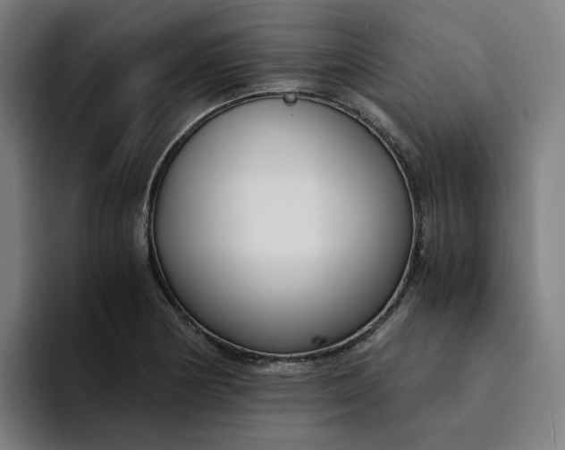 X0000094361178200711162044