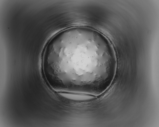 X0000094361179200711162044