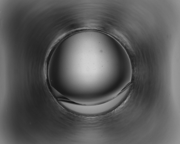 X0000094361180200711162044