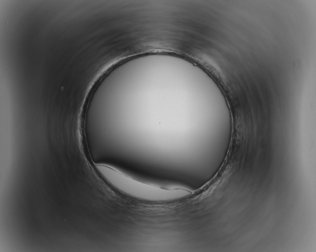 X0000094361182200711162044