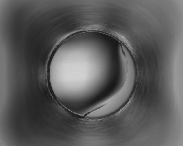 X0000094361184200711162044