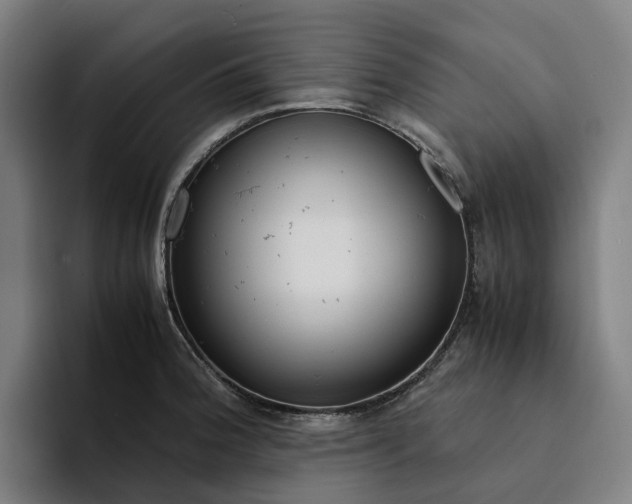 X0000094361188200711162044