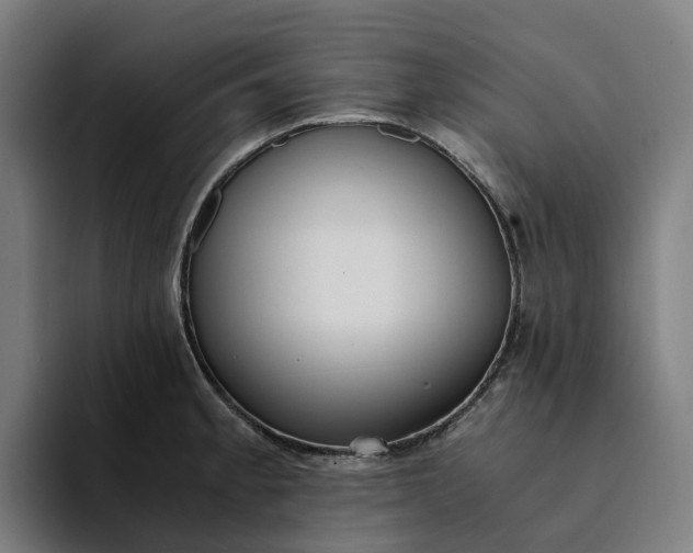 X0000094361189200711162044