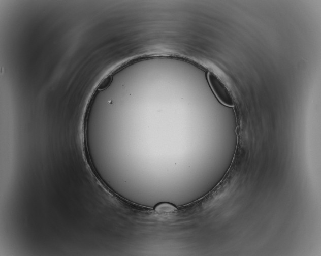 X0000094361191200711162044