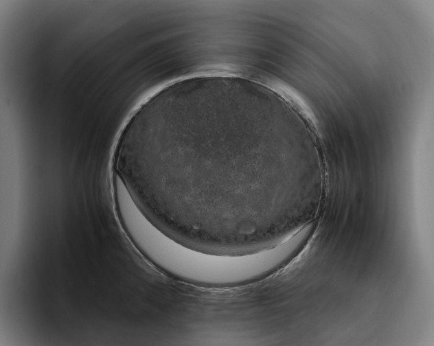 X0000094361192200711162044