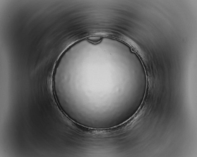 X0000094361194200711162044