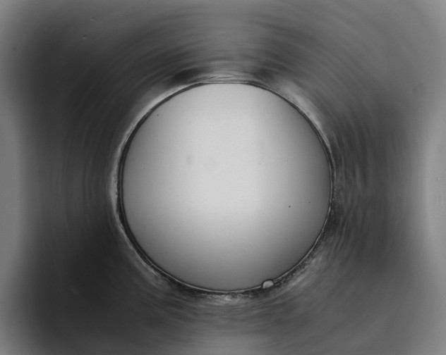 X0000094361195200711162044