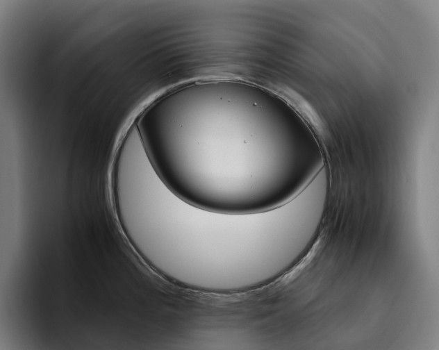 X0000094361196200711162044