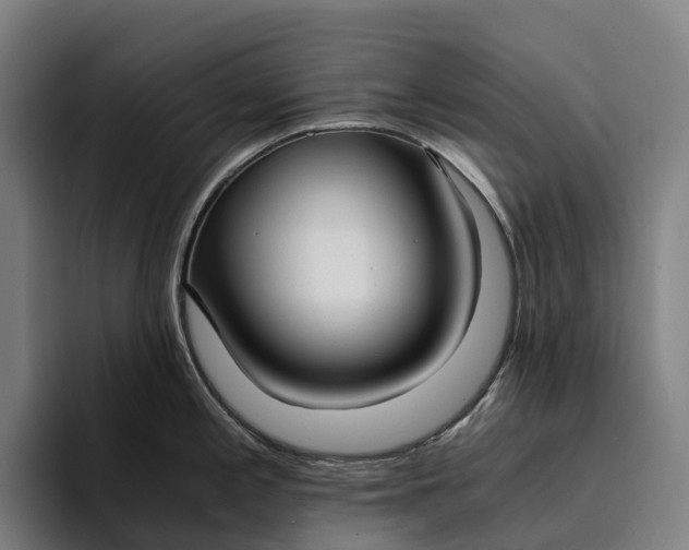 X0000094361197200711162044