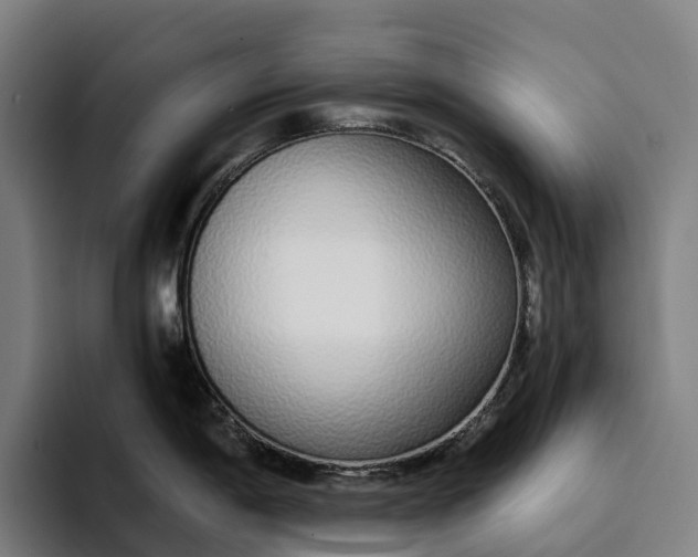 X0000094361198200711162044