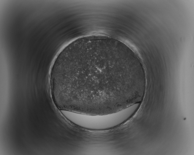 X0000094361200200711162044