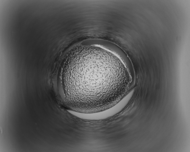 X0000094361202200711162043