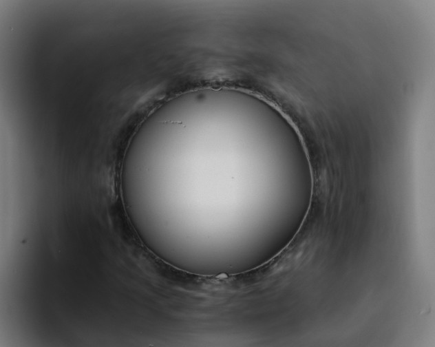 X0000094361205200711162043